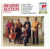 Theme and Variations in D Minor, Op. 18b - Emanuel Ax&Johannes Brahms