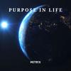 Purpose in Life - Mitr!x