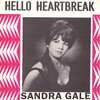 Hello Heartbreak - Sandra Gale