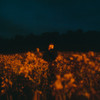 Break In The Weather - Benjamin Francis Leftwich