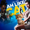 Ah Like Cat - Mr Killa