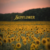 Sunflower - Ibanez