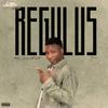 Tell (feat. Zicky) (Explicit) - Regulus PLM&Zicky