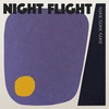 Please, Please, Please, Let Me Get What I Want - night flight