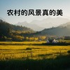 农村风景真的美 (DJ阿能版伴奏) - 白宁