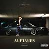 Auftauen (Explicit) - Onkel Ossi