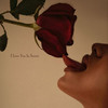 Lost In The Crowd - Jon E. Amber&Cafe Americaine&Luis Siu Riveron