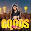 Gogos Mix - DJ Franck