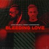 Bleeding Love - Lenny Pearce&Timmy Commerford
