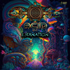 Lsdenation - Acid DJ