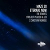 Eternal Now (Project Placebo & Ledmir Remix) - Maze 28&Project Placebo&Ledmir