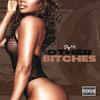 Other Bitches (Explicit) - Big110