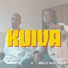 KUIVA (Explicit) - Nesta Mostincs&Nelly Acou$tics