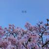 행방 (whereabouts) (Inst.) - The TRINITY&Youngcode