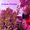 Prairie Pothole (Explicit) - Known.As Vine&Junie B