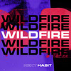 Wildfire - Next Habit&Dan Dare&John Courtidis&Neave Applebaum&Lewis Thompson&Robert Harvey