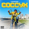 Coccyx (Explicit) - TopGogg