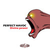 Mr.Perfect - Perfect Havoc&Dooper Doopler