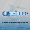 Gordinho Bololo (Explicit) - DJ BRAYAN ZL&Mc Luizinho JD&Mc Robacena