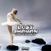 Zero Crossing (Original Mix) - Lost Shaman