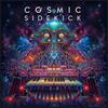 When The Synth Speaks - Cosmic Sidekick