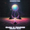 Energy Flux - Guau&Pavane