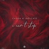 I Can't Stop - Cason&INDICATE