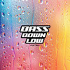 Bass Down Low - DSTBL