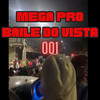 Mega pro Baile do Vista 001 (Explicit) - DJ XANDE DO VS&DJ RCINCO&MC Djavas&MC FB DO VS&MC Dmenor&MC BIEL DO VS&Mc Menor Lesk&MC corner&MC RYAN DO VS&mc durry&Mc Morenin Pv