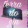 terra do gin - DJ RICARDO 011&Ttg&luzi mt