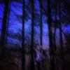 Bring Me Down - PsychwardBlur