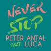 Never Stop - Peter Antal&Luca