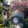 上海谣 (cover: 林宝) - 萌妮妮