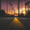 Autumn Night - Millennium
