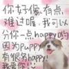 puppy love - 恋愛幸运星