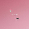 Pink Pilot - Cook Thugless