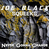 Never Gona Change (Explicit) - Joe Black&Squeeks