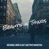 Beautiful Things - Nathaniel Drew&Salt Lake Pops Orchestra