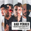 Bad Perreo (Explicit) - Dile Sly Q&David Rone&BABY ZOOM&Cainclue II&Zelcok kp&Ty Rose&J-Lit