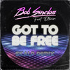 Got to Be Free (Skalp Remix) - Bob Sinclar&D Train