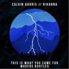 This Is What You Came For - Wavers&Calvin Harris&Rihanna