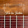 Hipocrita - Trio Los Jaibos&Carlos Crespo