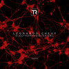 Ionic Lattice (Scanner Darkly Remix) - Leonardo Chevy&Scanner Darkly