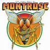 Stand - Montrose