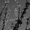 春雪 (cause im falling slowly love with u) (伴奏) - 伊焱焱