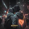 Sorry - Kevin Havis