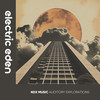 The Groove Within - NDX Music