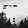 SNØSTORM 2025 (Instrumental Version) - Arvid Häggström&Snøstorm&Pxlish Beatz