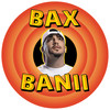 Bax Banii - Bogdan DLP