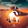 Nature Pulse - J3brael&Cafe De Anatolia